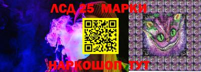 прущие грибы Краснодар