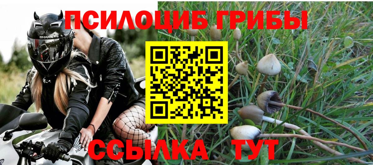 Кострома  как найти наркотики  Вход с VPN  Галлюциногенные грибы GOLDEN TEACHER 